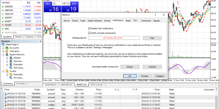 Trade With The Best MT5 Brokers To Win