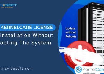 KernelCare License