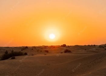 Desert safari in Abu Dhabi package