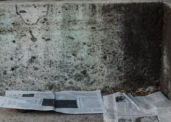 junk removal Oakland