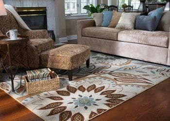 best rugs & furniture