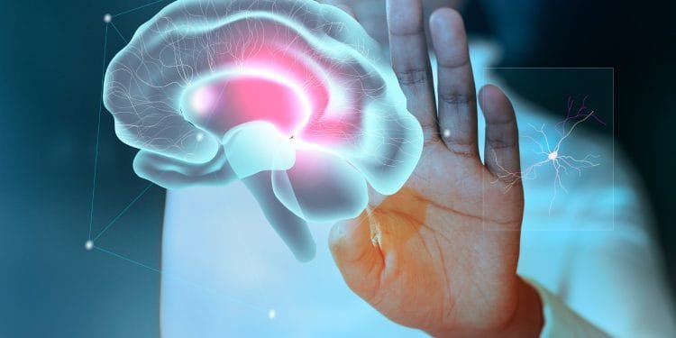 How to choose the best Mental Health System for your Online Practice?