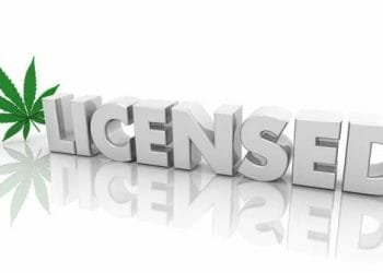 cannabis-license