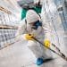 Perth Commercial Pest Control | Precaution is Better Than Cure