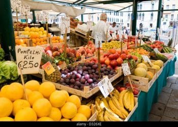 How to Find the Best Deals on Bazar Regalo Alimentation