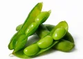 soy