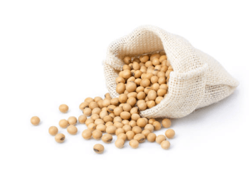 Soybean: Uses, Benefits, Nutritional value 
