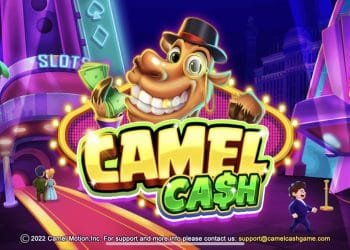 camel cash casino