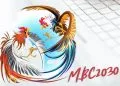 mbc2030