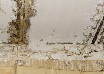 mold removal, mold removal services, mold removal services toronto, mold remediation, mold remediation services, mold remediation services toronto, mold inspection, mold inspection services, mold inspection services toronto, mold inspection and testing services, mold inspection and testing services toronto, mold cleaning, mold cleaning services toronto, mold cleaning services, commercial mold remediation, commercial mold remediation services