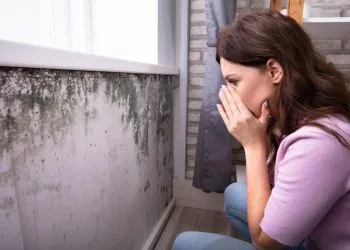 mold removal, mold removal services, mold removal services toronto, mold remediation, mold remediation services, mold remediation services toronto, mold inspection, mold inspection services, mold inspection services toronto, mold inspection and testing services, mold inspection and testing services toronto, mold cleaning, mold cleaning services toronto, mold cleaning services, commercial mold remediation, commercial mold remediation services