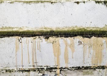 Attic Mold Removal Toronto: Why It Matters And How To Deal With It