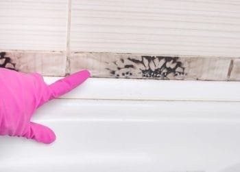 mold removal, mold removal services, mold removal services toronto, mold remediation, mold remediation services, mold remediation services toronto, mold inspection, mold inspection services, mold inspection services toronto, mold inspection and testing services, mold inspection and testing services toronto, mold cleaning, mold cleaning services toronto, mold cleaning services