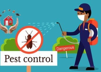 What Is Professional Pest Control Services?