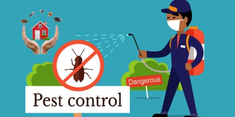 What Is Professional Pest Control Services?