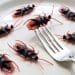 Cockroach Control Services are Necessary For: