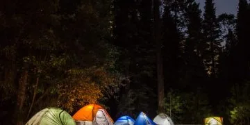 Top Equipment You Must Have To Survive In a Wild 