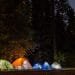 Top Equipment You Must Have To Survive In a Wild