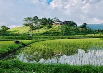 What Are The Positive Effects Of Floods?