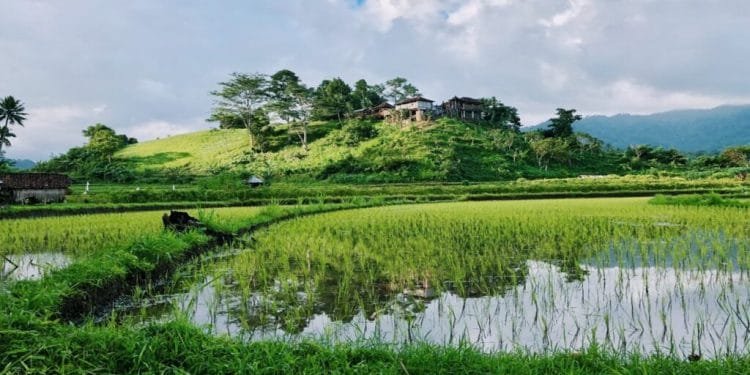 What Are The Positive Effects Of Floods?