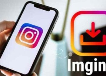 Everything You Should Know About Imginn