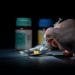 Testing for drugs & alcohol worldwide