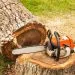 tree-trimming